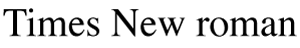 Times New Roman
