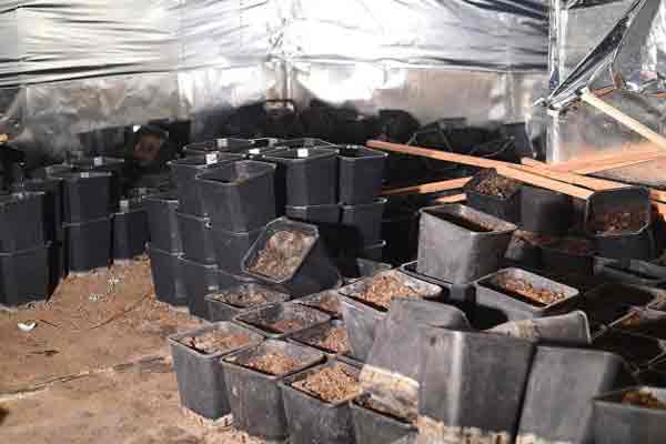 Арендодатель должен за свой счет восстанавливать дом после погрома съемщиков