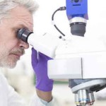 Исследование KU Leuven