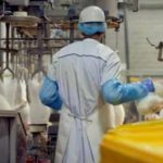 Кролик с черносливом