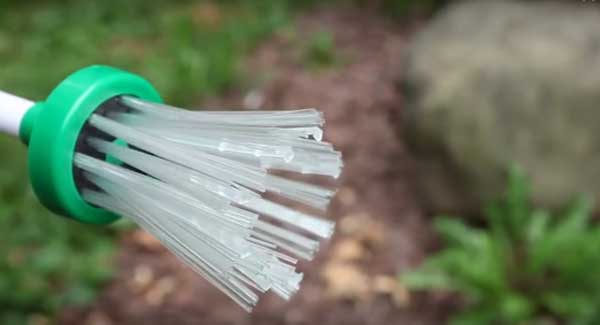 Ловля пауков