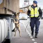 На электронных бордах антверпенской магистрали вчера можно было увидеть такое сообщение: "Всем авторефрижераторам: проверьте свой груз".