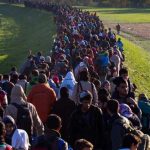 Бельгия, страна с границей? Настоящие цифры миграции