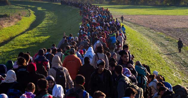 Бельгия, страна с границей? Настоящие цифры миграции