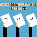 Самые высокооплачиваемые профессии в Бельгии