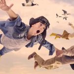 Международный аэропорт для птиц: заповедник "Звин" в Кнокке-Хейст