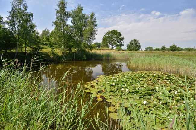 История приморского города Де-Панне