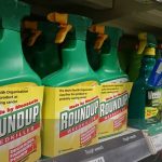 Спорный убийца сорняков Глифосат обнаружен в организме почти половины фламандской молодежи
