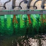 Исследователи из CSIC разрабатывают систему обнаружения циркуляции коронавируса SARS-CoV-2 в сточных водах