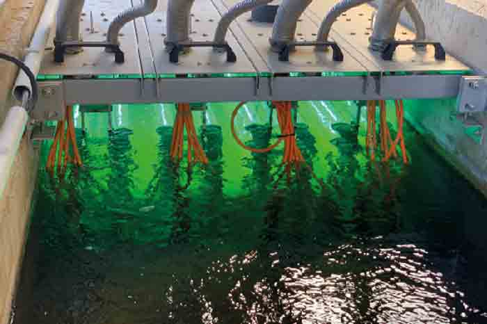 Исследователи из CSIC разрабатывают систему обнаружения циркуляции коронавируса SARS-CoV-2 в сточных водах