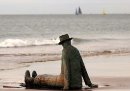 План по ослаблению карантинных мер