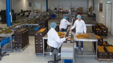 Бельгия признала Covid-19 профессиональным заболеванием