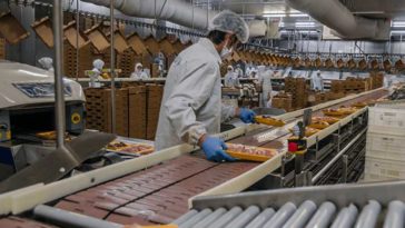 Компании могут узнать процент вакцинированных сотрудников