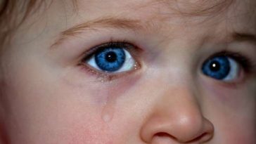 Пропавшие дети найдены в доме соседа, ранее привлекавшегося за хранение детской порнографии