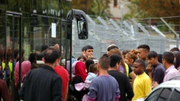 Бельгия: количество ходатайств о предоставлении убежища неуклонно растет