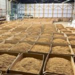 В бельгийском Лимбурге преступники ограбили преступников