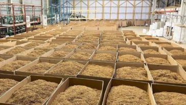 В бельгийском Лимбурге преступники ограбили преступников