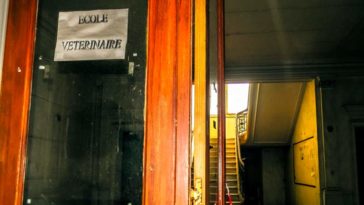 Ветеринарная школа в Бельгии