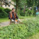 Министр труда: 64 000 безработных во Фландрии, но лишь 494 участвуют в общественных работах