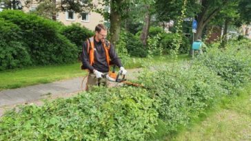 Министр труда: 64 000 безработных во Фландрии, но лишь 494 участвуют в общественных работах