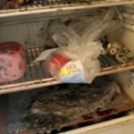 Как низкое водопотребление разоблачило получательницу пособий?