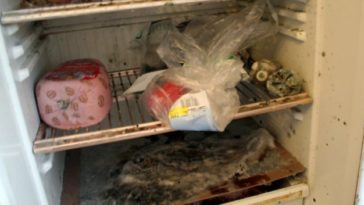 Как низкое водопотребление разоблачило получательницу пособий?