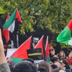 Мировые бренды под ударом бойкотов: влияние протестов растет