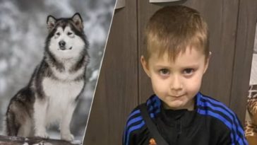 Жертва семейного питомника: трагедия в бельгийской коммуне Кеви