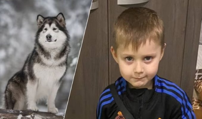 Жертва семейного питомника: трагедия в бельгийской коммуне Кеви