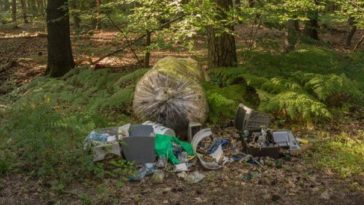 Четыре года нарушений: как мусор привёл мужчину к крупному штрафу