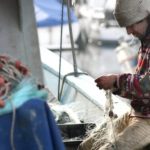 Морской промысел: как зарабатывают рыбаки в Бельгии?