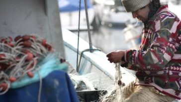 Морской промысел: как зарабатывают рыбаки в Бельгии?