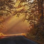 К пятнице погода порадует: солнце заменит облака