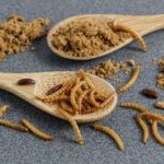 ЕС разрешил муку из личинок в хлебе и пасте: что нужно знать?