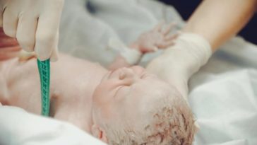 Первый ребенок после пересадки матки родился в Бельгии