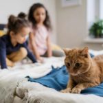 Можно ли арендодателю запретить держать домашних животных?