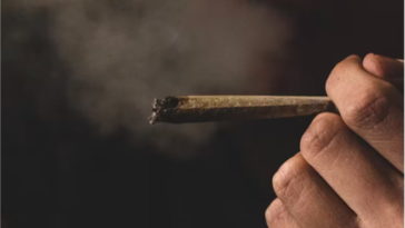 Исследование: Каннабис негативно влияет на рабочую память