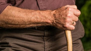 Пенсионная реформа в Бельгии: что изменится?