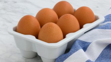 Почему яйца дорожают? В Европе уничтожены миллионы кур-несушек