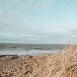 Квартира у моря: сколько стоит жильё на побережье Бельгии в 2024 году