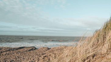 Квартира у моря: сколько стоит жильё на побережье Бельгии в 2024 году