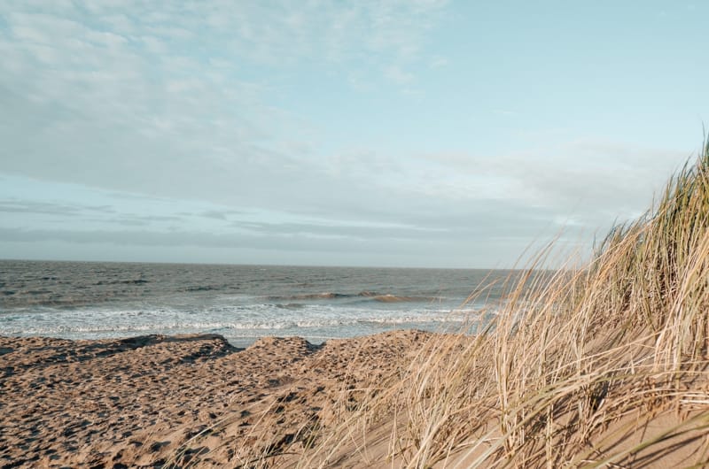 Квартира у моря: сколько стоит жильё на побережье Бельгии в 2024 году