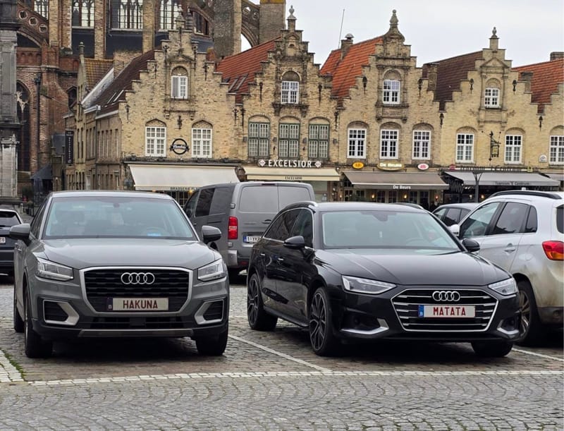Два владельца Audi из Фландрии с идеально совпадающими номерами: "Главное – правильно их расположить"