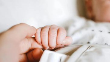 Будущим родителям во Фландрии: какие выплаты и льготы вам положены