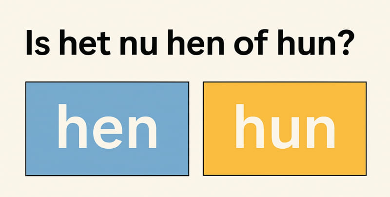 "Hen" или "hun"? Почему некоторые грамматические правила нидерландского языка так и не приживаются