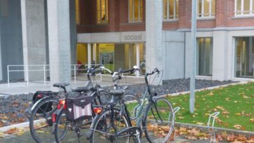 Количество сообщений об агрессии в OCMW Антверпена почти удвоилось за два года