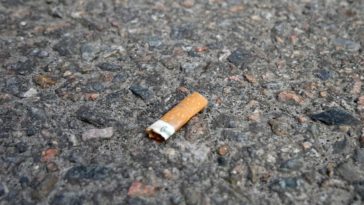 Многие бельгийские курильщики не знают, что за это поведение можно получить штраф: GAS-штрафы до 500 евро