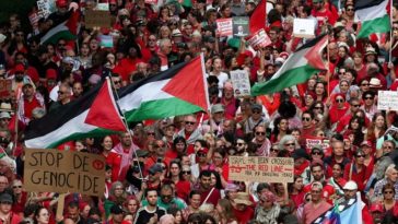 N-VA и MR тормозят: протест в поддержку Газы обострил противоречия внутри коалиции "Аризона"