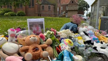 Подросток признался в жестоком убийстве матери и сестры в Бельгии