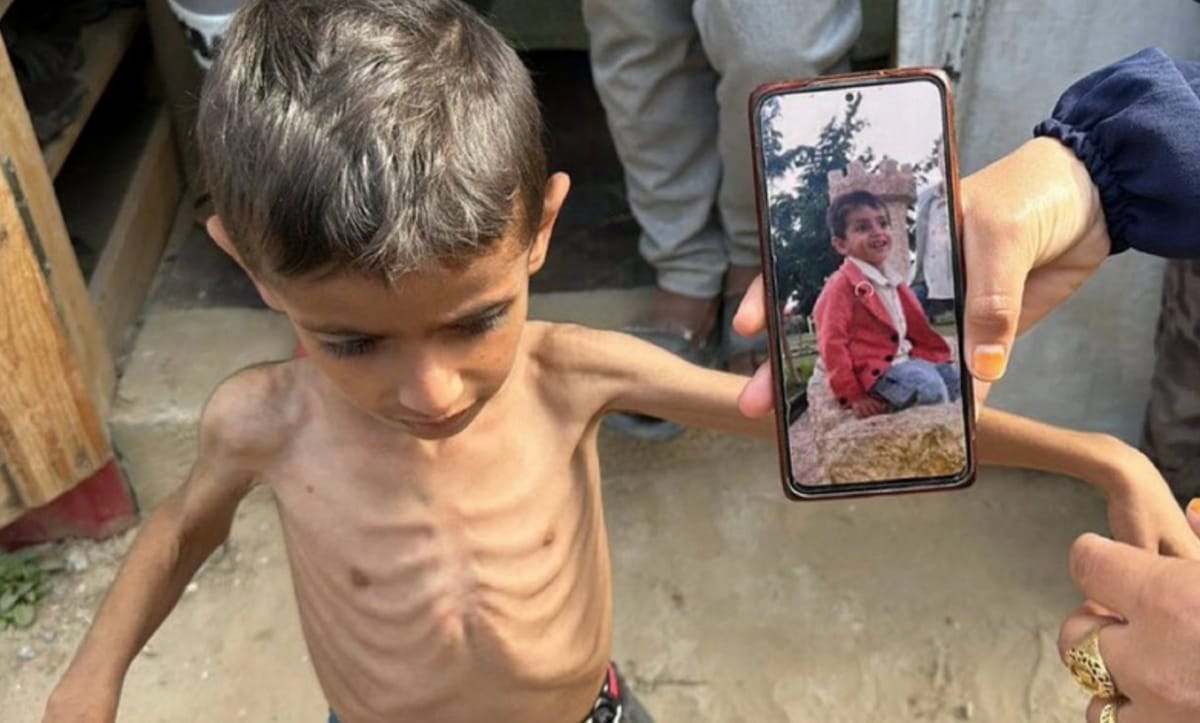 Каролин Виллемен: «Это не стихийное бедствие, это сознательный террор»